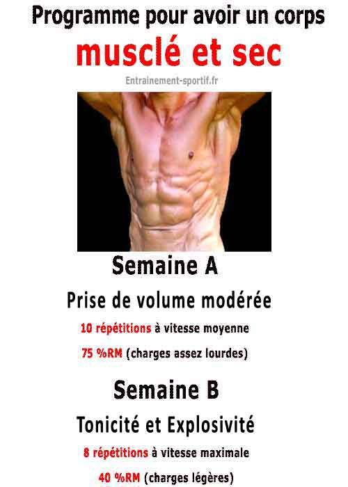 Programme musculation dessiner ses muscles